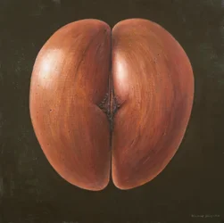 Coco de Mer, Maldives